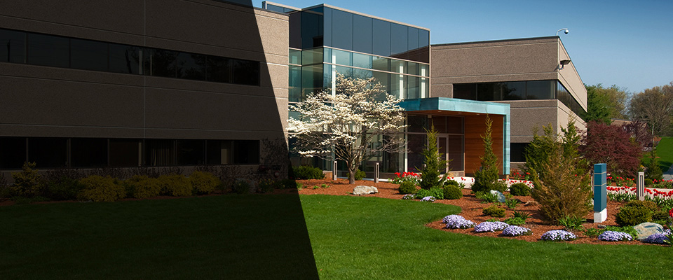 Princeton Landscapers