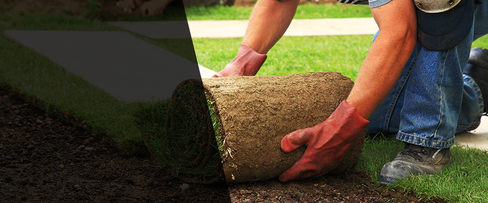 Princeton Landscapers